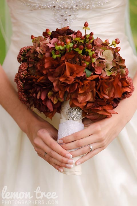 photo of Consider the Lilies